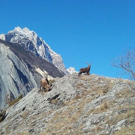 Location Vacances Saint Michel De Maurienne "Le Dahu" Apartment Bagian luar foto